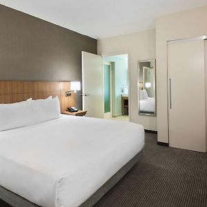 One-Bedroom King Suite